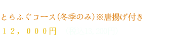 １２，０００円　（税込１３，２００円）